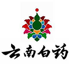 云南白藥：大健康視野下的企業(yè)再造