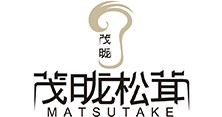 松茸價(jià)值革命，打造高端文化禮品